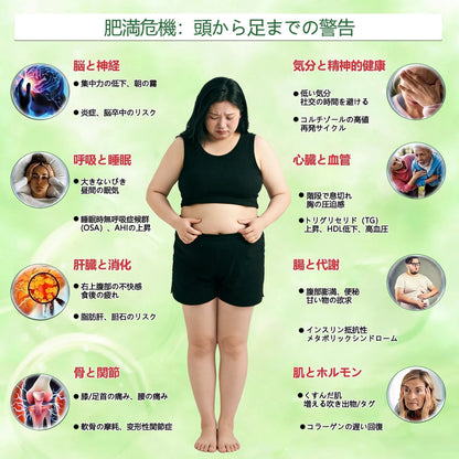 Healrize®＆NAD+ 8-in-1 ナノ強化フォーミュラ【アップグレード版】🍏🍏内臓脂肪 / 肥満 / 糖尿病 / 睡眠時無呼吸 / 関節ケア / 肌のたるみ 集中サポート